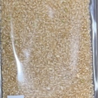 ひのひかり　令和2年度　30kg 玄米