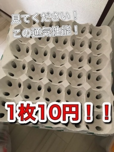 コオロギ飼育者必見 卵パック配送 遠藤 倉敷のその他の中古あげます 譲ります ジモティーで不用品の処分