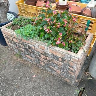 花壇　プランター　植木鉢　静岡市葵区