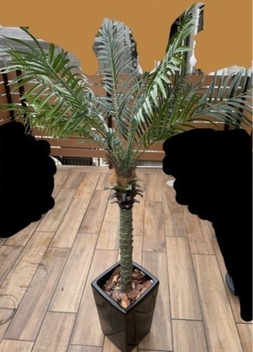 人工観葉植物【フェイクグリーン】
