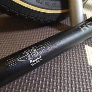 ストライダー(ストライダープロ レース仕様)