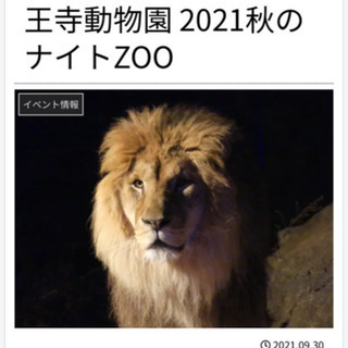 💕本日！10/16 天王寺動物園　☆ナイトZOO☆ チケット