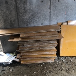 コーティングベニヤ ベニヤ コンパネ