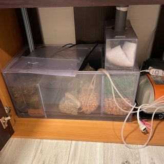 キャンセルの為再出品 90センチ ガラスオーバーフロー水槽一式