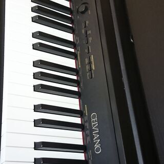 鍵盤楽器、ピアノ 電子ピアノ（カシオ セルビアーノAP460）