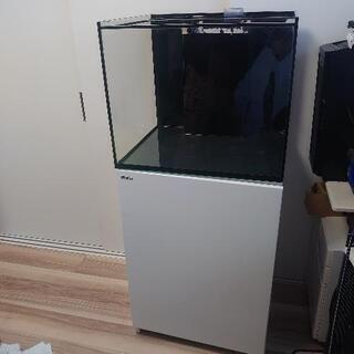 REEFERの中古が安い!激安で譲ります・無料であげます|ジモティー