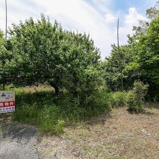 『資材置場・駐車場に最適!![建築不可]』■小山市荒井 ■土地販...