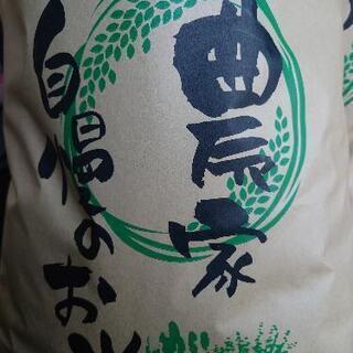 愛知県産コシヒカリ　新米　白米　10キロ　残２０キロ