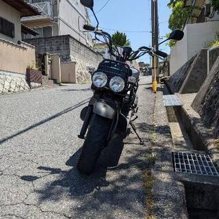HONDA ZOOMER ホンダ ズーマー
