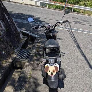 ナノユニバースダウンジャケット西川ダウンハイブリッドアークティックダウン-HONDA ZOOMER ホンダ ズーマー