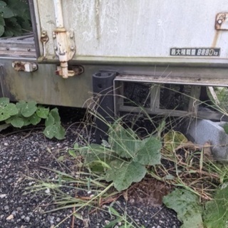 訳アリ】リユースコンテナ