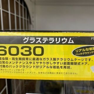 グラステラリウム　 6030　MEDIUM LOW