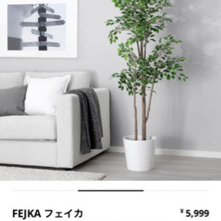 【ネット決済】フェイカ　IKEA ベンジャミン　フェイクグリーン