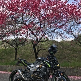 【ネット決済】Kawasaki  Ｚ1000 2018年　Eエデ...