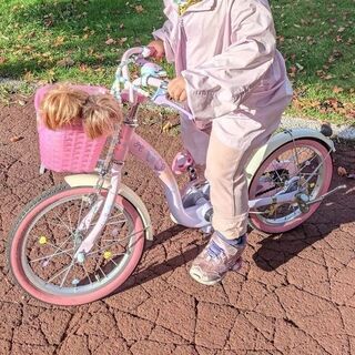 アイデス IDES プリンセス ゆめカワ 16 子ども用自転車 - 幼児用自転車