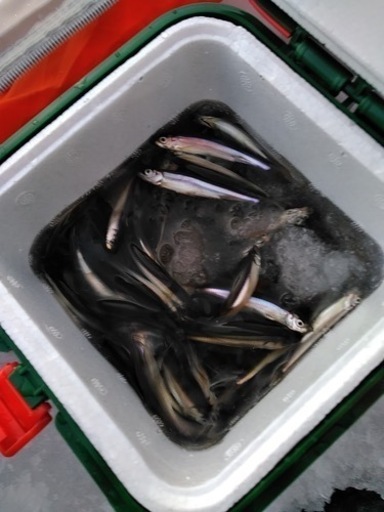 レンタル ワカサギ釣り用品貸出ます 氷上で釣りしませんか 12月下旬 Hiro 美瑛の貸したいの助け合い ジモティー