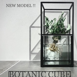 ☆新モデル☆Botanic Cube☆水耕栽培キット 鉢 プランター アイアン 