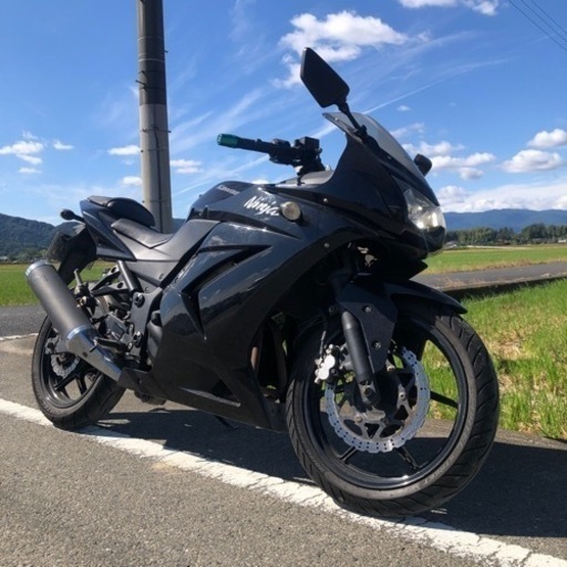 ニンジャ250