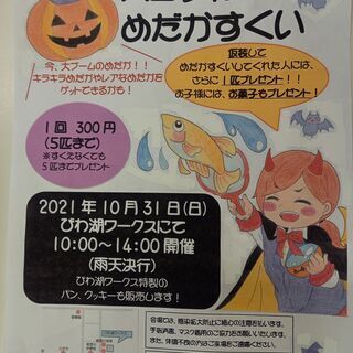 ☆ハロウィンめだかすくい☆