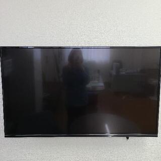 49型 液晶テレビ GREENHOUSE