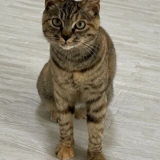 素敵な飼い主様にご縁が、有りました！ - 和歌山市