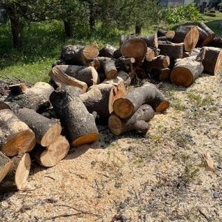 不要な木材、建築廃材（木材）間伐材などお引き取りします