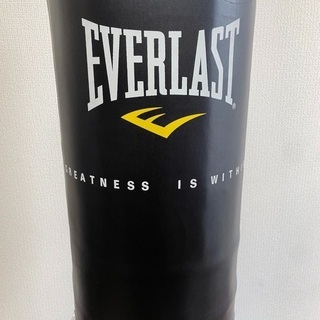 未使用 サンドバッグ everlast