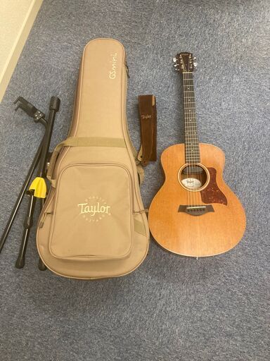 テイラー Taylor GS mini mahogany ES-Go