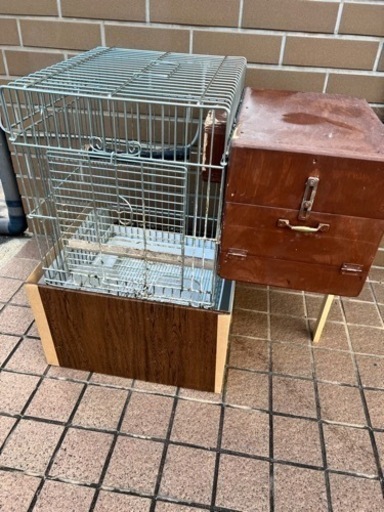鳥かご　35オウム