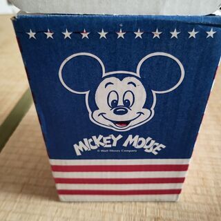 ミッキーマウスのポッド