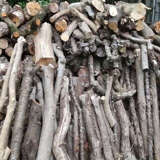 薪ストーブ用伐採木差し上げます。