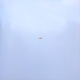 4/15■INADOME/イナドメ 灯油タンク IT-190K 172L■②