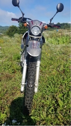 YAMANA ヤマハ セロー 250 20th Anniversary