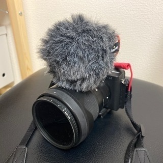 sony α6600 マイク・レンズ・フィルターフルセット