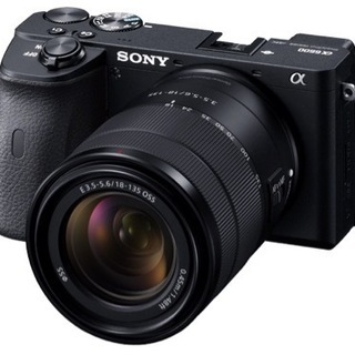 sony α6600 マイク・レンズ・フィルターフルセット