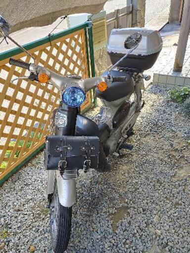 リトルカブ C50 期間限定値下げ