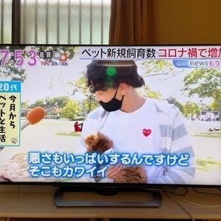 決まりました。シャープAQUOSテレビ LC-60US40