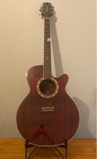 タカミネ TAKAMINE エレアコ ギター PT508