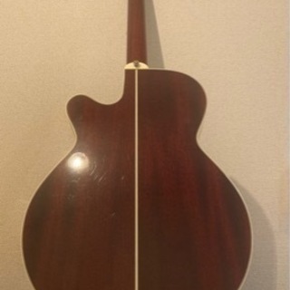タカミネ TAKAMINE エレアコ ギター PT508