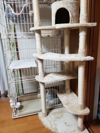 キャットタワー