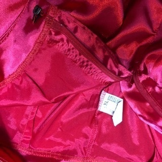 超ファンキー赤いサテンのビキニトップス・パンツ - 服/ファッション