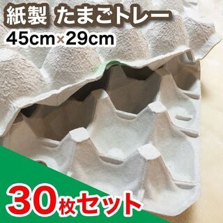 【緑】紙製卵トレー 45×29cm 30枚セット 【No.001...