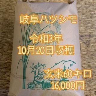 【ネット決済】令和3年収穫　岐阜ハツシモ玄米　60キロ