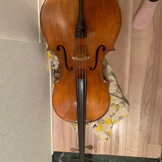 チェロ　4/4 (Label/ Alexandror Gaglianus 1727)