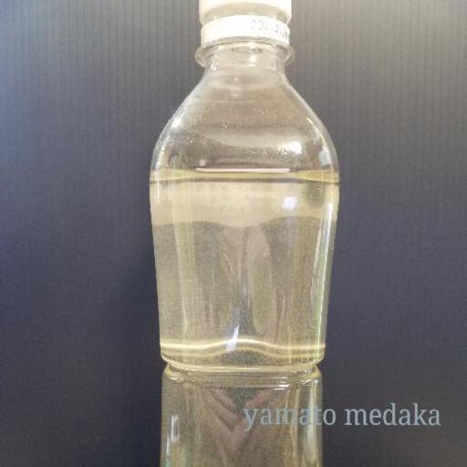 ゾウリムシ 針子 稚魚に 500mlペットボトル ヤマトメダカ めだか ヤマトメダカ 桜ヶ丘のその他の中古あげます 譲ります ジモティーで不用品の処分