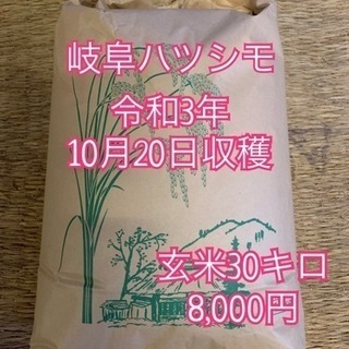 【ネット決済】令和3年収穫　岐阜ハツシモ玄米　30キロ　