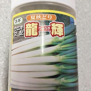 【ネット決済・配送可】白ネギ　コート種子　龍輝　6000粒　半額...