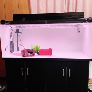 アクリル 水槽】1200×600×450 綺麗に洗いました。