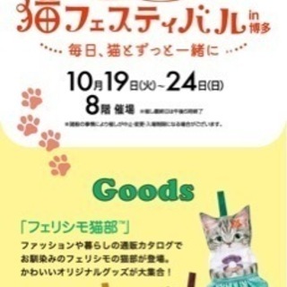 10/23に博多阪急で行われているネコフェスティバルにいきませんか？
