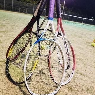 初心者向け硬式テニスサークル10月23日、26日 - スポーツ